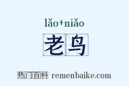老鸟是什么意思的图片